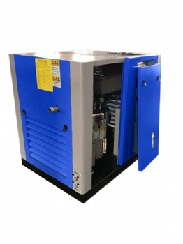 Oil-free screw air compressor